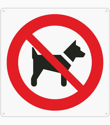 no animali